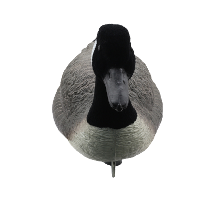 1633675485.jpg goose1-5.jpg