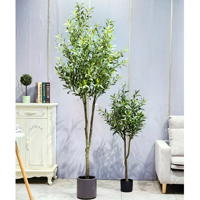 1706683275.jpg 5.jpg