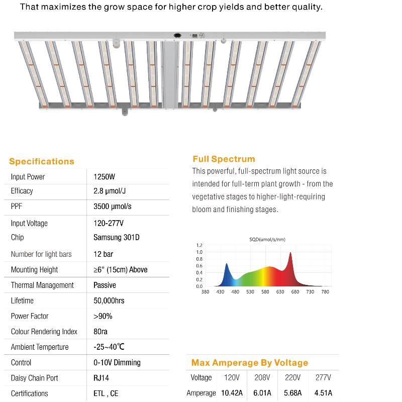 1703145676.jpg 1250W-8.jpg